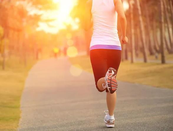 �����|���ܡ�ɢ�����������˷ʣ����������������������ǡ���