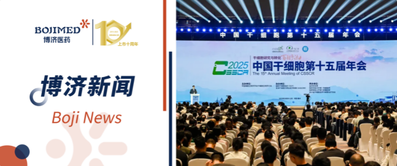 ����ת�����Ƿ�����ҽҩ�����й���ϸ����ʮ���������������������ϸ����ҵ��������ͼ