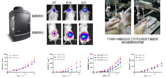 ·Ç·²¹ú¼Ê(ÖйúÇø)-¹Ù·½ÍøÕ¾