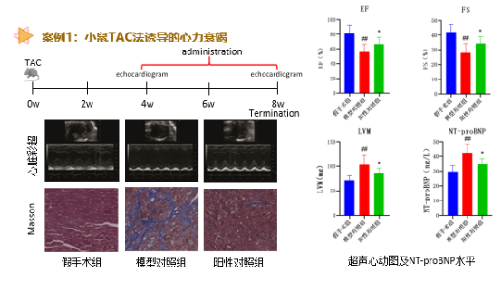 ·Ç·²¹ú¼Ê(ÖйúÇø)-¹Ù·½ÍøÕ¾