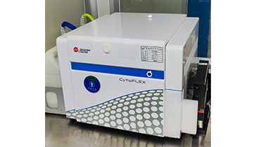 ��ʽϸ����